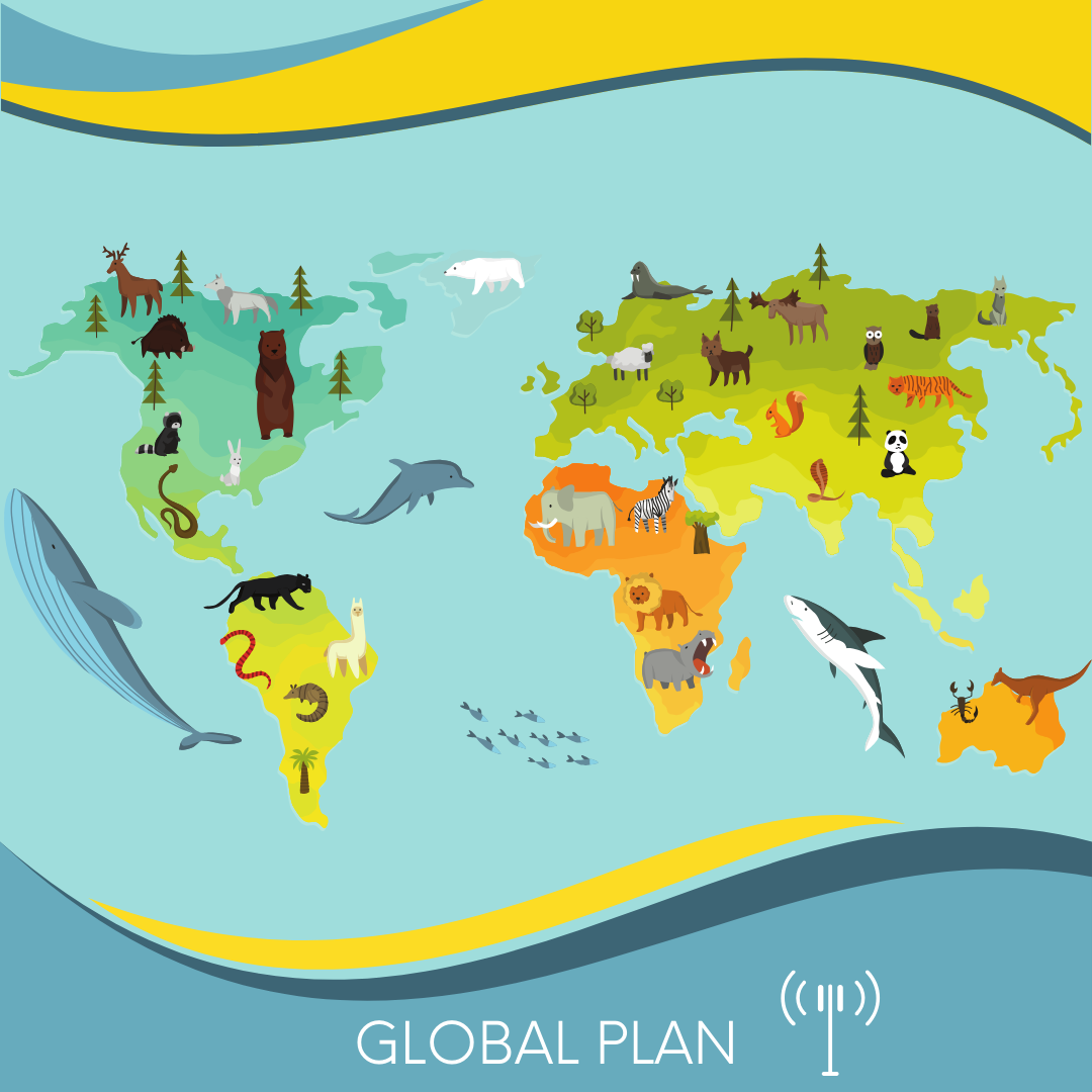 Best eSIM for Global (130+ areas)